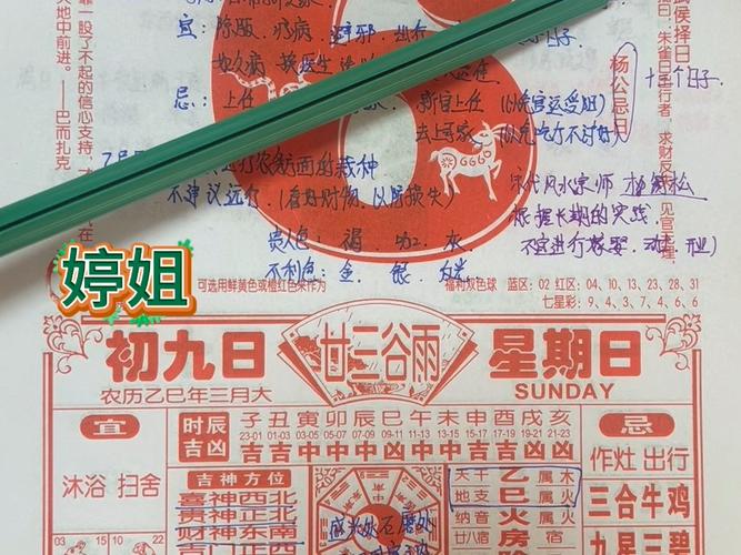 精準獲?。?025白小姐開獎結果查詢全攻略與權威解讀