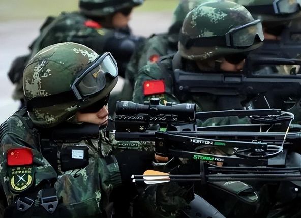 咖啡館深談：解碼中國人民武裝警察部隊(duì)組織機(jī)構(gòu)圖的演變與力量