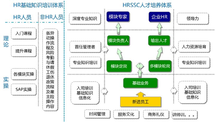 2025年新奧正版免費大全深度解析:獲取全攻略與必知技巧