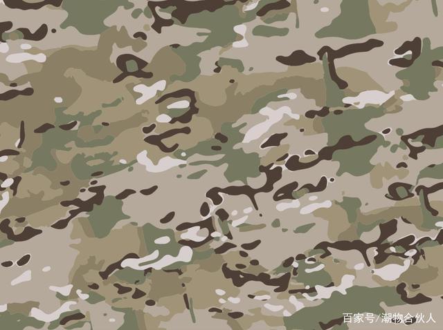 星空迷彩和叢林迷彩的場景聚合與多元勾勒：一場視覺與實(shí)戰(zhàn)的深度訪談