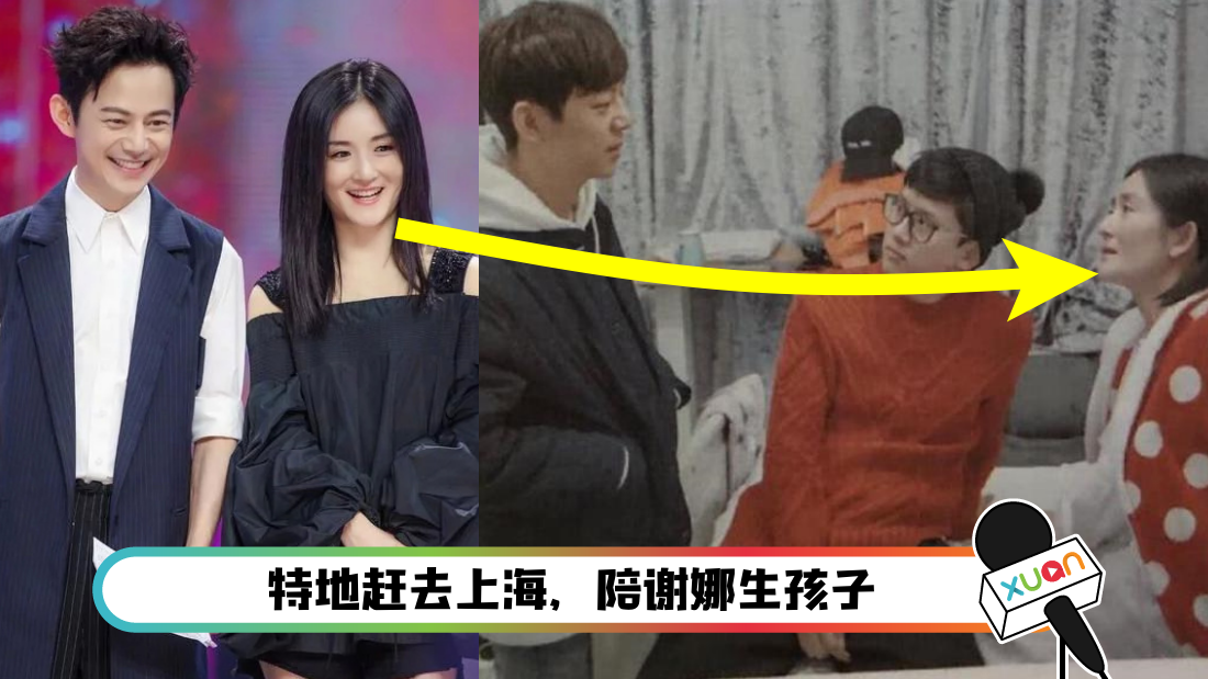 謝娜生了幾個(gè)寶寶是男是女？深度解析其幸福家庭的秘密與育兒點(diǎn)滴