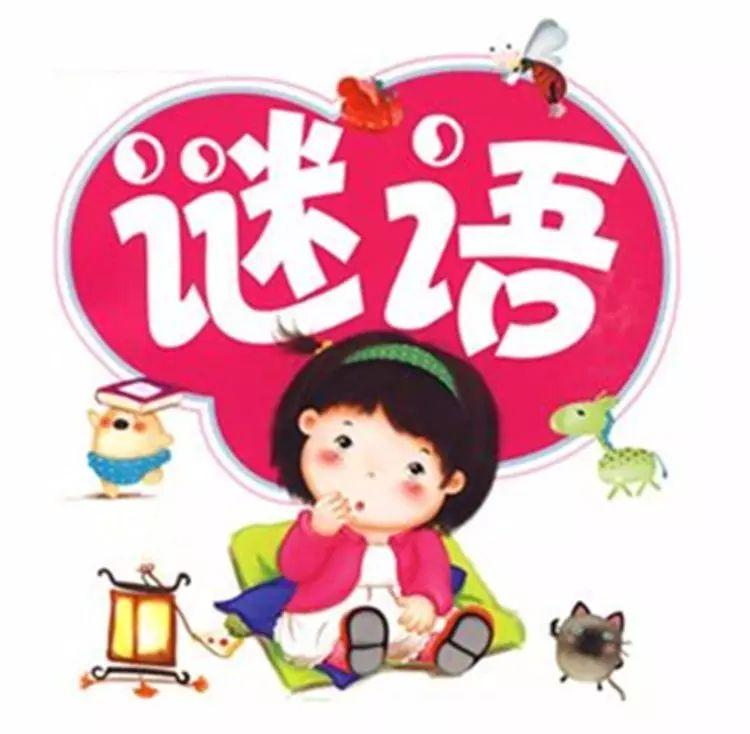 葡京巷陌奇遇：破解新澳門天天免費(fèi)精準(zhǔn)大全謎語的文化回響