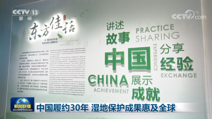 邊境密語:一場關(guān)于《禁止化學武器公約》的深度對話與啟示