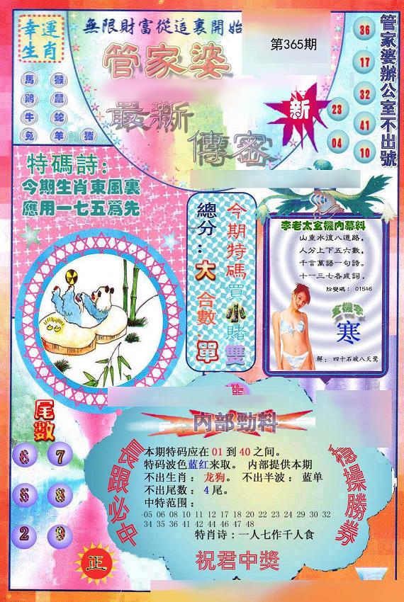 夢境回廊與數字邊境:揭秘7777788888管家婆鳳凰網的奇遇對話
