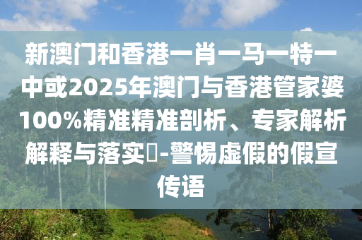 2025新澳門精準免費大全深度解析：獲取前瞻性數(shù)據(jù)與智慧決策的實用指南