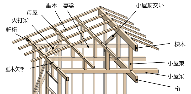 梁靖昆個(gè)人資料深度解析：國(guó)乒硬核實(shí)力派的成長(zhǎng)之路