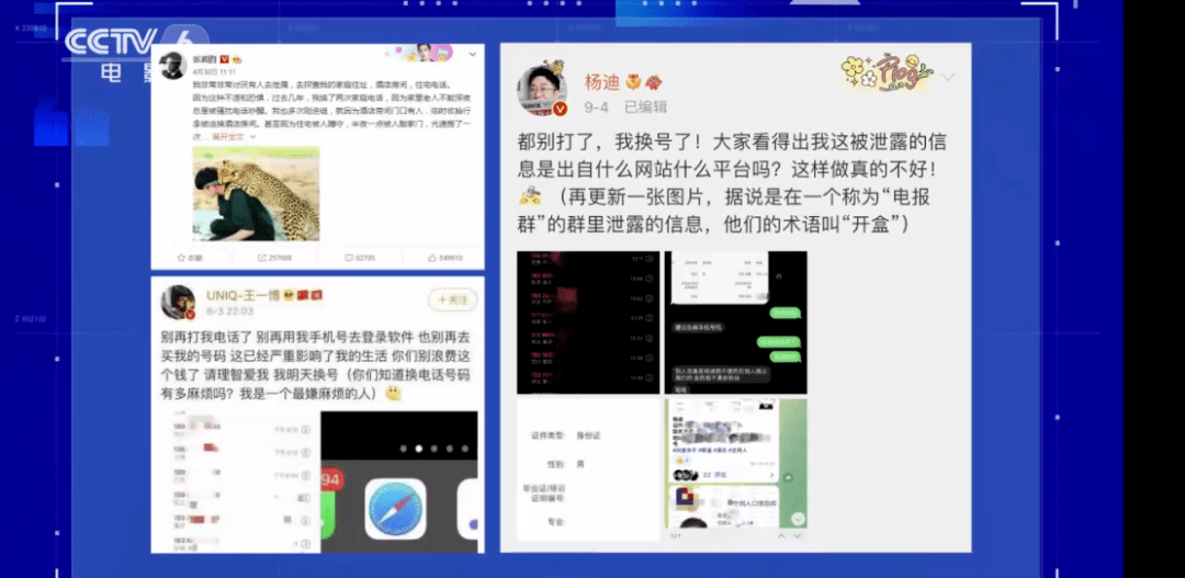 深度解析：趙子琪的爺爺是誰？探究公眾人物家庭信息背后的隱私與求知欲