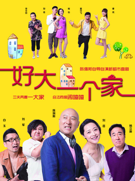 《好大一個家》電視劇演員表深度解析：角色與演技的魅力全攻略