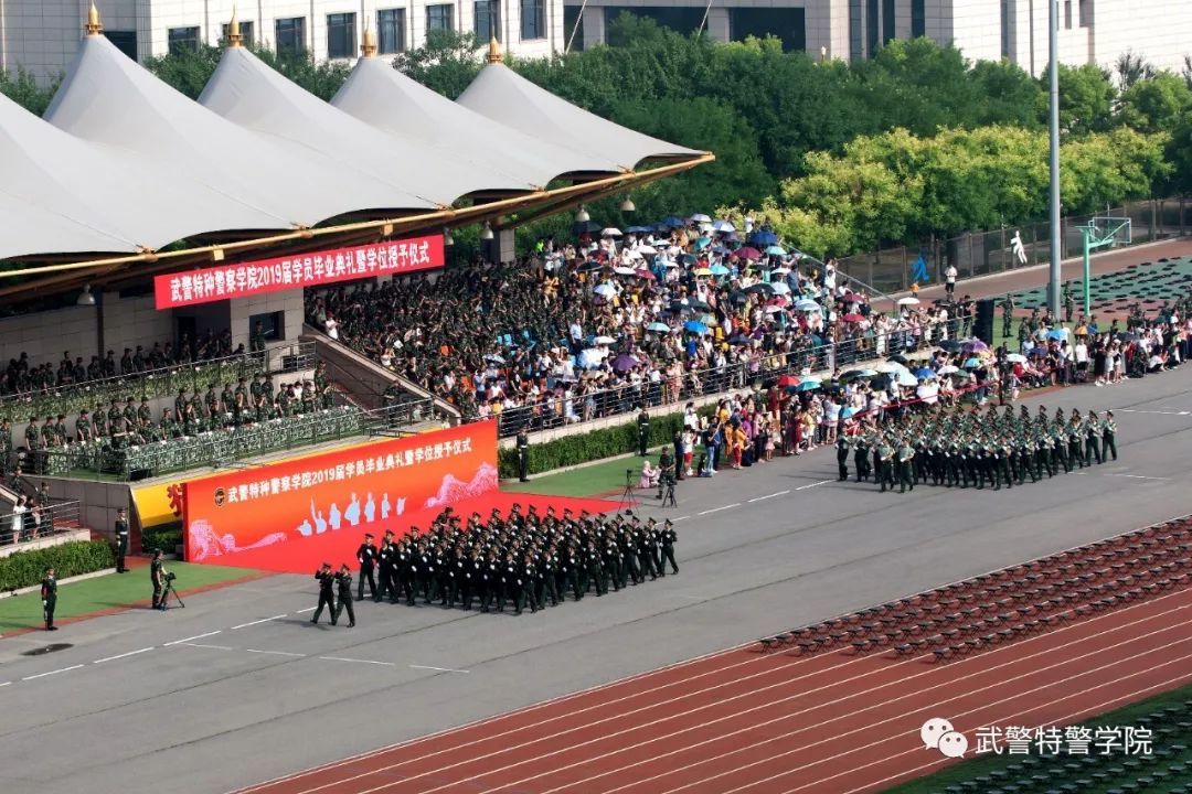 街角咖啡館里的思辨：中國人民武裝警察部隊(duì)特種警察學(xué)院出來是公務(wù)人員嗎？