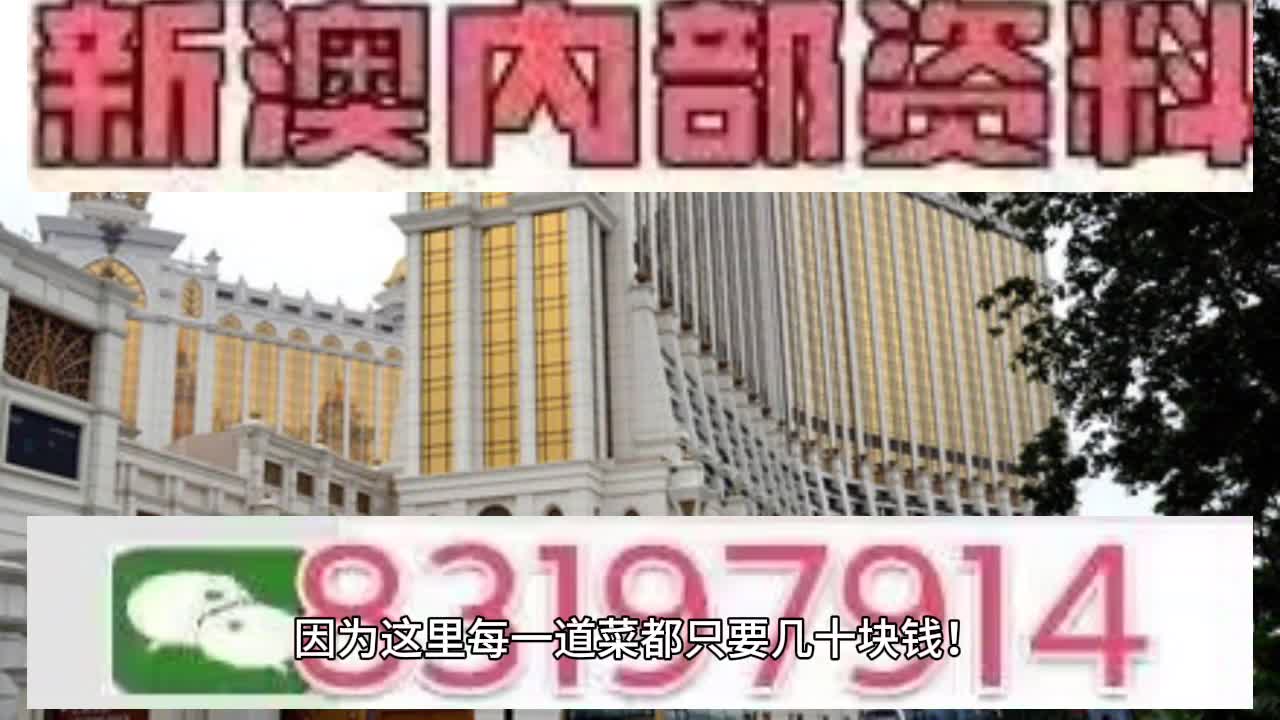 澳門六肖中特馬，探索與解讀，澳門六肖中特馬的探索與解讀指南