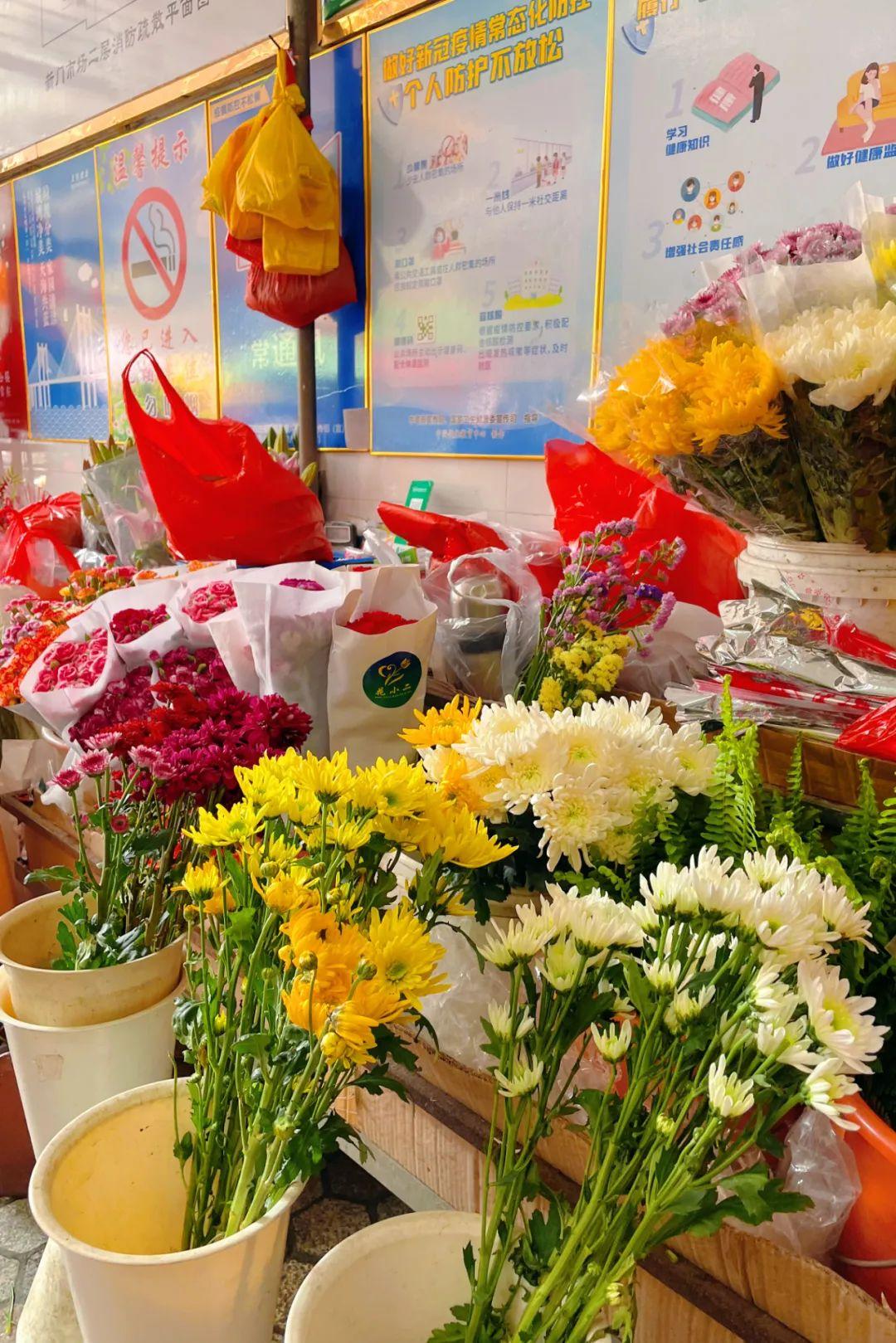 新門內(nèi)部資料最快更新，深度探索與前沿洞察，新門內(nèi)部資料更新速遞，深度探索與前沿洞察揭秘