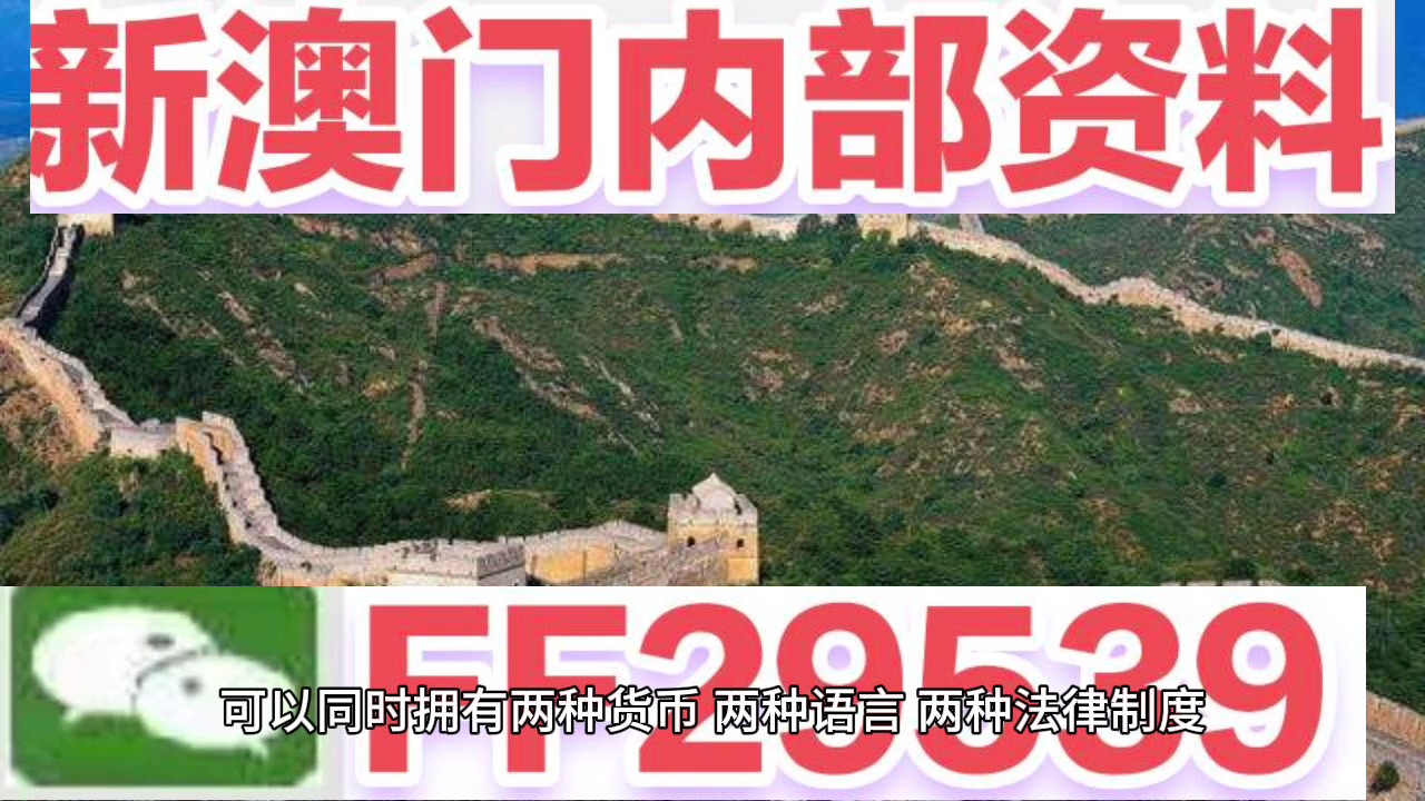 新澳門今晚開獎結(jié)果號碼查詢表，探索彩票世界的神秘面紗，新澳門今晚開獎結(jié)果號碼查詢表，揭開彩票世界的神秘面紗