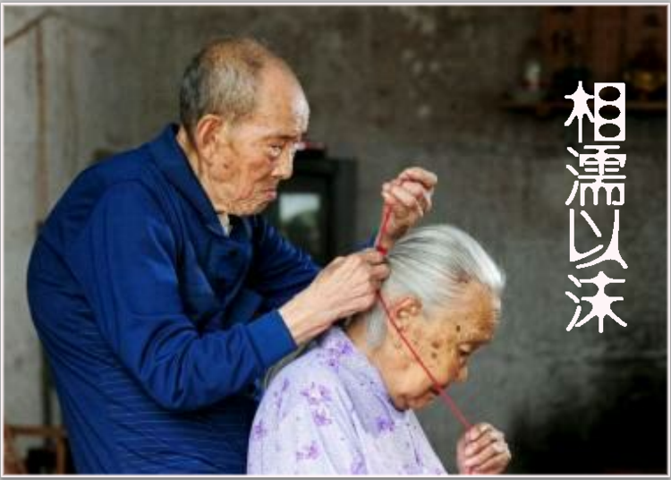精讀演員李雪健妻子:于海丹如何成為國寶級影帝的堅實后盾