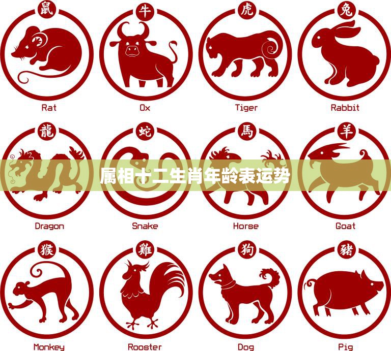 深度解析:探秘“77777888888三肖”的數(shù)字符號(hào)與生肖文化關(guān)聯(lián)