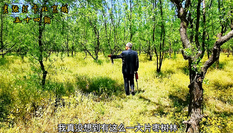 《白鹿個(gè)人資料父親:深度剖析公眾視野與私人空間的全解析》